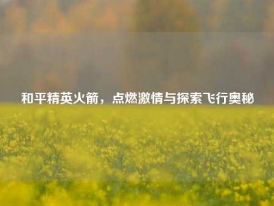 和平精英火箭，点燃激情与探索飞行奥秘