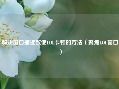 解决窗口捕捉致使LOL卡顿的方法（聚焦LOL窗口）