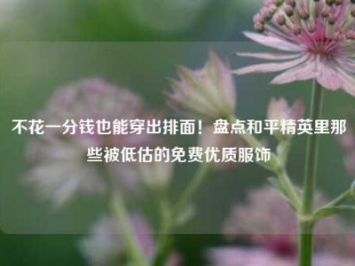 不花一分钱也能穿出排面！盘点和平精英里那些被低估的免费优质服饰