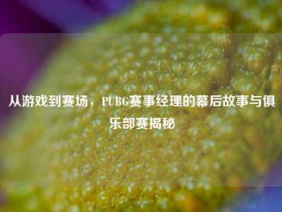 从游戏到赛场，PUBG赛事经理的幕后故事与俱乐部赛揭秘