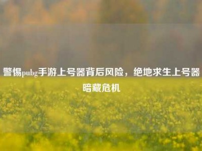 警惕pubg手游上号器背后风险，绝地求生上号器暗藏危机