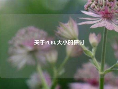 关于PUBG大小的探讨