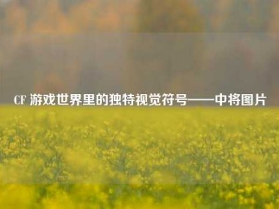 CF 游戏世界里的独特视觉符号——中将图片