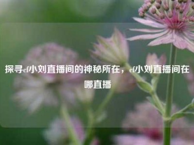 探寻cf小刘直播间的神秘所在，cf小刘直播间在哪直播
