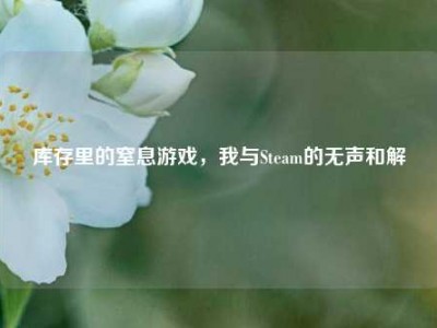 库存里的窒息游戏，我与Steam的无声和解