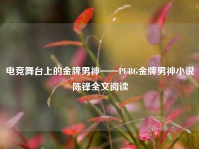 电竞舞台上的金牌男神——PUBG金牌男神小说陈锋全文阅读