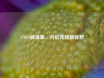CSGO新准星，开启竞技新视野
