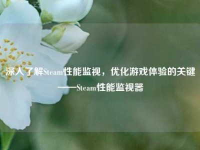 深入了解Steam性能监视，优化游戏体验的关键——Steam性能监视器