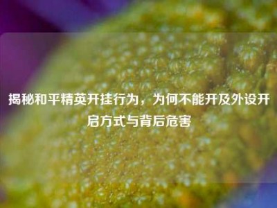 揭秘和平精英开挂行为，为何不能开及外设开启方式与背后危害