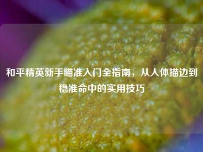 和平精英新手瞄准入门全指南，从人体描边到稳准命中的实用技巧