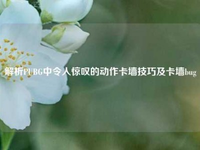 解析PUBG中令人惊叹的动作卡墙技巧及卡墙bug