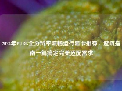 2024年PUBG全分辨率流畅运行显卡推荐，避坑指南一篇搞定完美适配需求