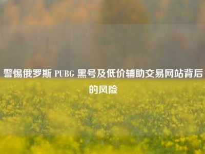 警惕俄罗斯 PUBG 黑号及低价辅助交易网站背后的风险