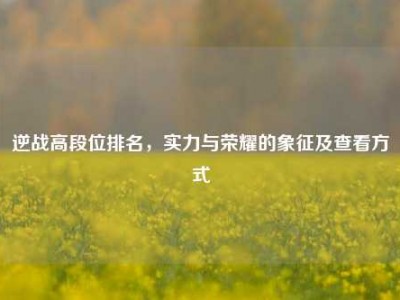 逆战高段位排名，实力与荣耀的象征及查看方式