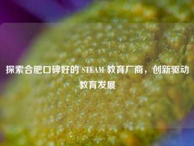 探索合肥口碑好的 STEAM 教育厂商，创新驱动教育发展