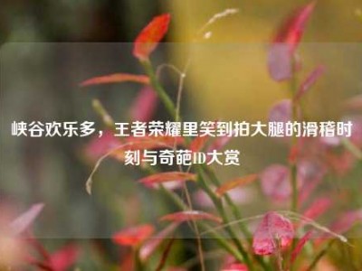 峡谷欢乐多，王者荣耀里笑到拍大腿的滑稽时刻与奇葩ID大赏