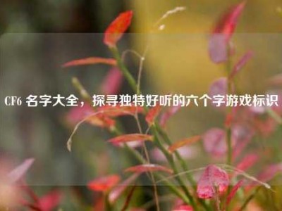 CF6 名字大全，探寻独特好听的六个字游戏标识