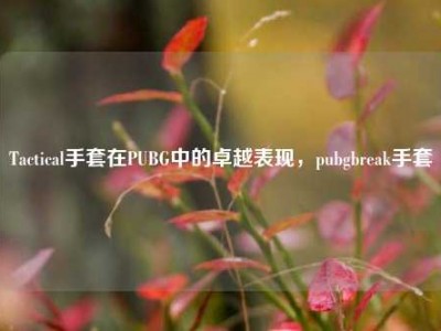 Tactical手套在PUBG中的卓越表现，pubgbreak手套