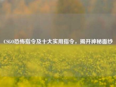 CSGO恐怖指令及十大实用指令，揭开神秘面纱
