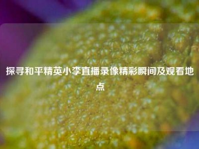探寻和平精英小李直播录像精彩瞬间及观看地点