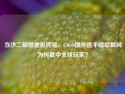 当沙二硝烟邂逅民谣，CSGO国外选手唱歌瞬间为何戳中全球玩家？