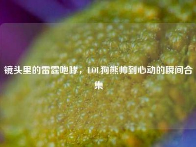 镜头里的雷霆咆哮，LOL狗熊帅到心动的瞬间合集