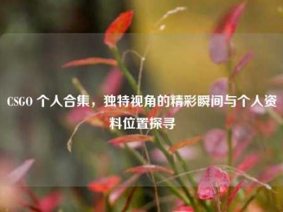 CSGO 个人合集，独特视角的精彩瞬间与个人资料位置探寻