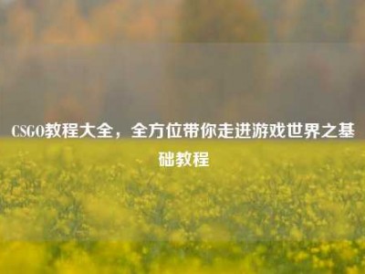 CSGO教程大全，全方位带你走进游戏世界之基础教程