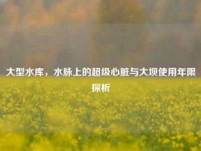 大型水库，水脉上的超级心脏与大坝使用年限探析