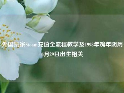 外国玩家Steam充值全流程教学及1993年鸡年阴历6月29日出生相关