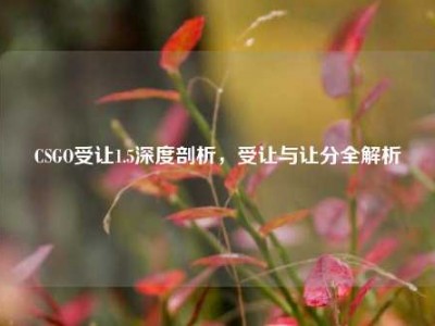 CSGO受让1.5深度剖析，受让与让分全解析