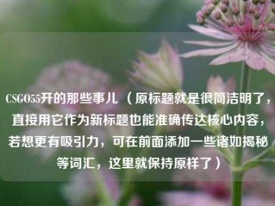 CSGO55开的那些事儿 （原标题就是很简洁明了，直接用它作为新标题也能准确传达核心内容，若想更有吸引力，可在前面添加一些诸如揭秘等词汇，这里就保持原样了）