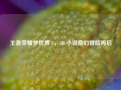 王者荣耀梦世界 2，3D 小说奇幻冒险再启