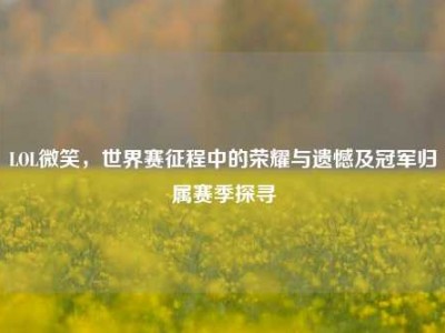 LOL微笑，世界赛征程中的荣耀与遗憾及冠军归属赛季探寻