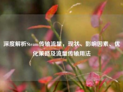 深度解析Steam传输流量，现状、影响因素、优化策略及流量传输用法