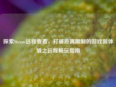 探索Steam远程查看，打破距离限制的游戏新体验之远程畅玩指南