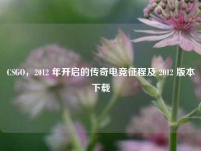 CSGO，2012 年开启的传奇电竞征程及 2012 版本下载