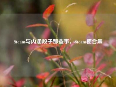 Steam与内涵段子那些事，Steam梗合集