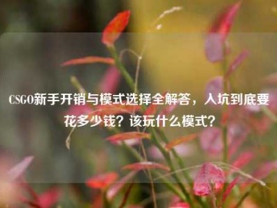 CSGO新手开销与模式选择全解答，入坑到底要花多少钱？该玩什么模式？
