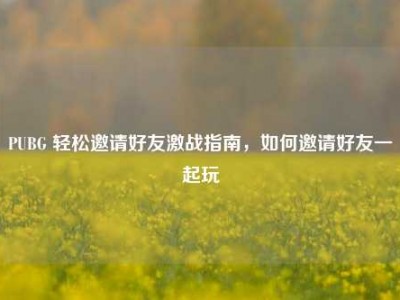 PUBG 轻松邀请好友激战指南，如何邀请好友一起玩