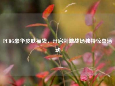PUBG豪华皮肤福袋，开启刺激战场独特惊喜活动