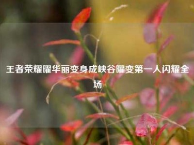 王者荣耀曜华丽变身成峡谷曜变第一人闪耀全场