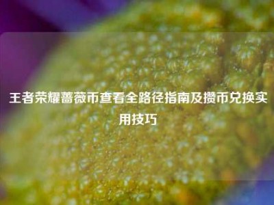 王者荣耀蔷薇币查看全路径指南及攒币兑换实用技巧