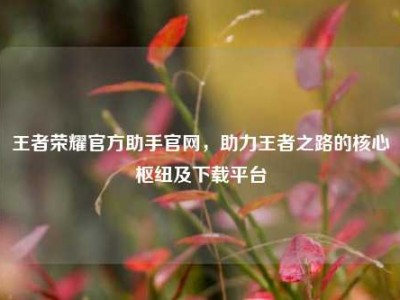 王者荣耀官方助手官网，助力王者之路的核心枢纽及下载平台