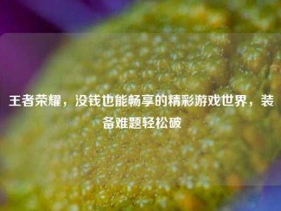 王者荣耀，没钱也能畅享的精彩游戏世界，装备难题轻松破