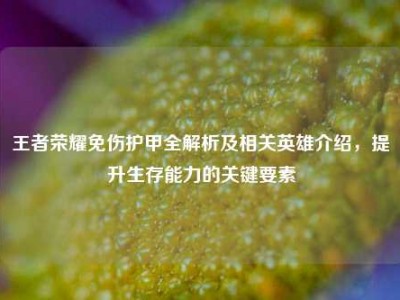 王者荣耀免伤护甲全解析及相关英雄介绍，提升生存能力的关键要素