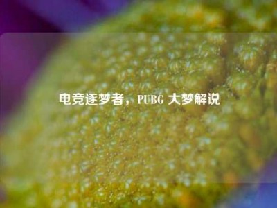 电竞逐梦者，PUBG 大梦解说