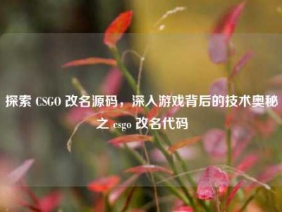 探索 CSGO 改名源码，深入游戏背后的技术奥秘之 csgo 改名代码