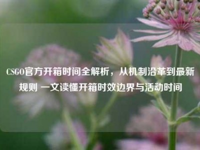 CSGO官方开箱时间全解析，从机制沿革到最新规则 一文读懂开箱时效边界与活动时间