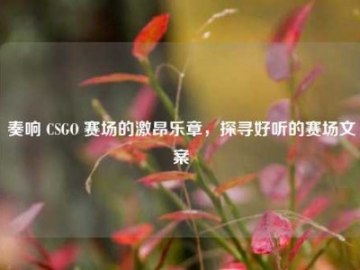 奏响 CSGO 赛场的激昂乐章，探寻好听的赛场文案